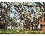 The Pakenham Oaks New Orleans Louisiana LA UNP Linen Postcard Q2 - £3.06 GBP