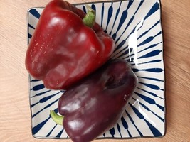 Purple Beauty Sweet Pepper - 5+ seeds - Ca 082 - $1.99