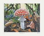 Flat art ryan lewis artist proof toad stool mushroom ltd ed 77 thumb155 crop