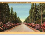 Rhododendron and Azaleas Oregon Coast Highway OR Linen Postcard N26 - £2.34 GBP