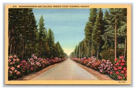 Rhododendron and Azaleas Oregon Coast Highway OR Linen Postcard N26 - £2.36 GBP