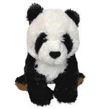Ty Beanie Baby Beckett Panda Bear Borders Exclusive Stuffed Animal 2009 10&quot; - $42.46
