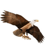 Jackite Bald Eagle Kite / Windsock - £60.71 GBP