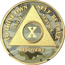 An item in the Toys & Hobbies category: 10 Year AA Medallion Camo Gold Plated Anniversary Chip Camouflage Color