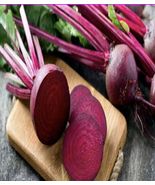 US SELLER 150+ Seeds RUBY QUEEN BEET Non GMO-append Pollinated - £6.27 GBP