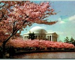 Jefferson Memorial Washington Dc Chromé Carte Postale - $3.02