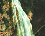 Mount Rainier National Park WA Washington Narada Falls DB Postcard T15 - $6.29