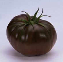 30+Cherokee Purple Native American Heirloom Organic Tomato,  - £5.20 GBP
