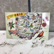 Postcard Greetings From Ohio The Buckeye State Cardinals Carnations - £3.87 GBP