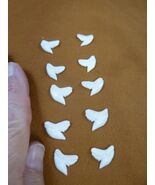 SW-1-N-2-55 Wholesale 10 (5left/right) 5/8&quot; modern Tiger Shark T**th DIY... - $37.63 CAD
