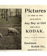 Kodak Cameras Pictures Sheep 1894 Advertisement Victorian Photography 2 ... - $28.04 CAD