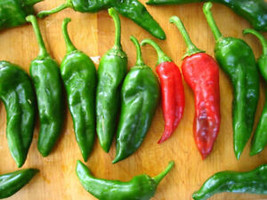 SEPTH 25 Seeds Chimayó Chile Pepper Garden Vegetables Planting Edible Food - £4.23 GBP