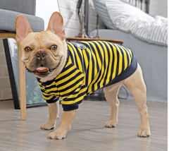 Cozy Canine Cotton Sweater - £18.13 GBP