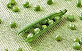 Pea Seed, Lincoln Peas, Heirloom, Non GMO, 50 Seeds, Perfect Peas - $1.99