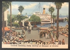 Early Image Of The Steamship SS Avalon Arriving at Catalina Island - $3.50
