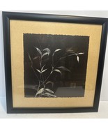 Vintage Chinese Art Bamboo Twigs On Black Background Paper - $44.54