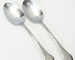 Oneida Summer Mist Autumn Glow Serving Spoons Rogers 8 1/4&quot; Stainless Lo... - £11.55 GBP