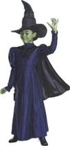 Wicked Elphaba Halloween Costume Girls Size 6 / 6X Witch Dress Hat Cape NEW - $34.65
