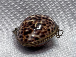 Vtg Tiger Cowry Sea Shell Hinged Compact Coin Purse Pill Box Nautical Sea Life - £23.70 GBP