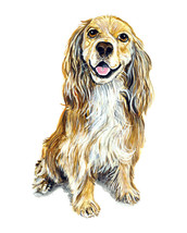 Cocker Spaniel Dog Lover Vinyl Auto Camper Window Glass Body Decal Stick... - $6.95+