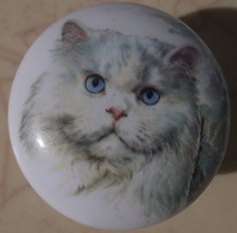 Cabinet Knobs Kitten Persian cat and flowers #2 domestic - £4.06 GBP