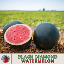 10 Black Diamond Watermelon Seeds Fast Ship USA Seller  - $4.90