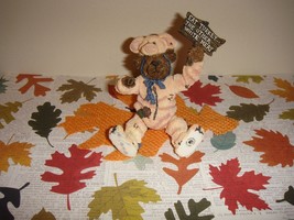 Boyds Bears Pigadilly Honeyglaze Don't Pig OutShoe Box Bears - $21.99