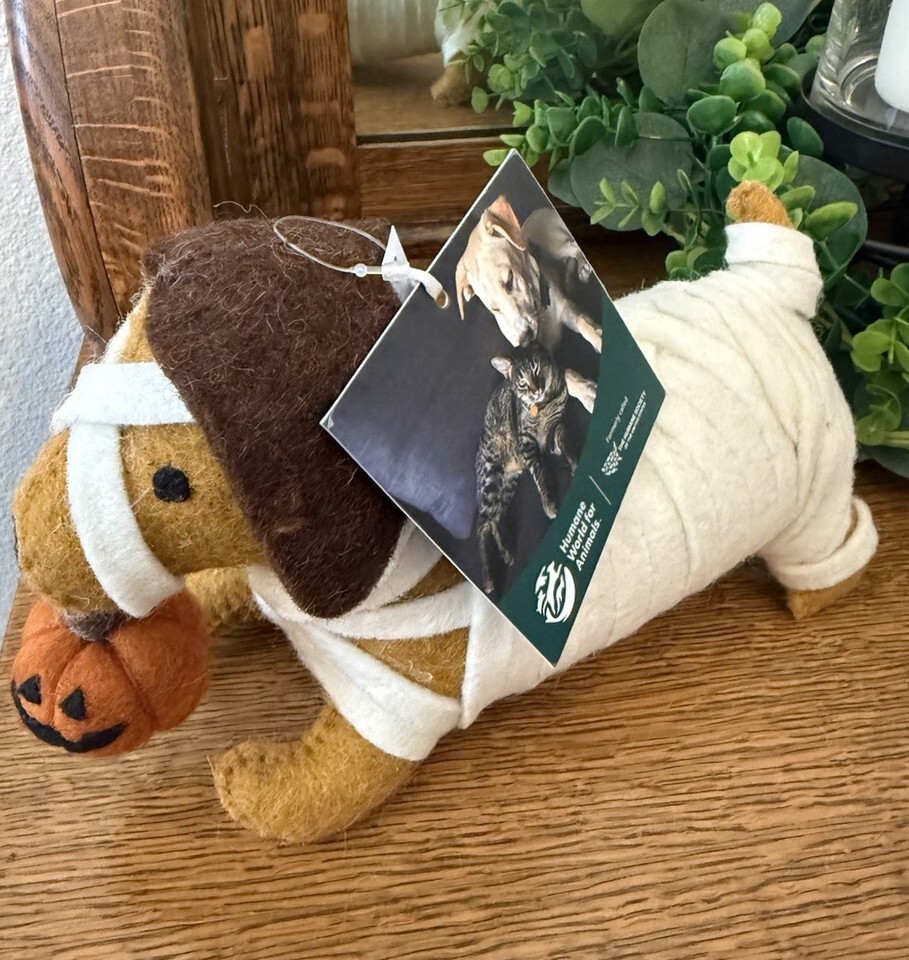 Dachshund Dog Mummy with Pumpkin Halloween Weener Decor NEW Humane Socie... - $26.18 Dachshund Dog Mummy with Pumpkin Halloween Weener Decor NEW Humane Socie... - $26.18
