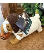 Dachshund Dog Mummy with Pumpkin Halloween Weener Decor NEW Humane Socie... - $26.18