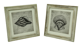 Set of 2 Sketched Seashells On French Postcard Script In Whitewashed Wood Frame - £17.97 GBP
