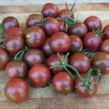 Black Royal Little Cherry Tomato Organic - 100 Seeds - £5.49 GBP