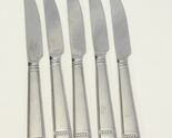 Wallace Leah Frost Dinner Knives  9 1/2" Stainless Lot of 5 - $24.49
