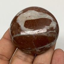 53.3g, 1.8&quot;x0.7&quot;, Natural Untreated Red Shell Fossils Round Palms-tone, ... - $6.00