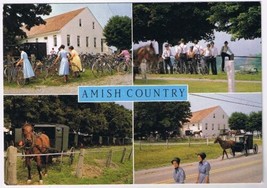 Postcard Greetings From Amish Country Mennonites Pennsylvania - £1.70 GBP