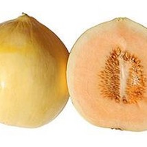 New Fresh Seeds Cantaloupe Casaba Golden Beauty - $16.98