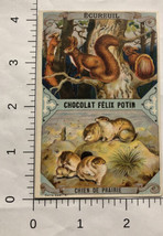 Chocolat Felix Potin Victorian Trade Card VTC 6 - £5.23 GBP