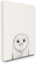 Wall Art, 24 X 1 Point 5 X 30, Canvas, Stupell Industries Owl Portrait Grey - £46.86 GBP