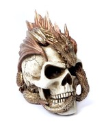 LAST CHANCE Dragon Keeper&#39;s Skull Resin Statue Decor 8&quot; High V72 Alchemy... - $59.95