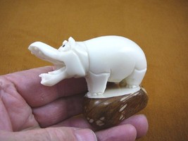 (TNE-HIP-274-A) Hippo Hippopotamus TAGUA NUT Figurine palm carving I lov... - £21.49 GBP
