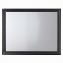 Naima 47&quot;x36&quot; Mirror, Black Finish - $277.00