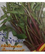VC 10G Red Kangkong Thai Water Rau Muong Dong Cong Tim Do No Delivery To... - $24.96
