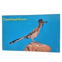 Postcard The Desert Road Runner Desert Animal Chrome Postcard - £5.17 GBP