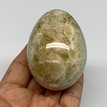 263g, 2.7&quot;x2&quot; Natural Green Onyx Egg Gemstone Mineral, from Pakistan, B32041 - £23.29 GBP