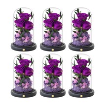 Pack of 6 Forever Flowers for Mothers Birthday Gifts for Women Purple Rose - €327,19 EUR