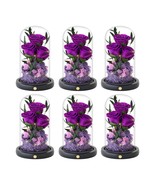 Pack of 6 Forever Flowers for Mothers Birthday Gifts for Women Purple Rose - $7,036.52 MXN