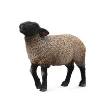 CollectA Suffolk Sheep Figure (Medium) - $366.39 MXN