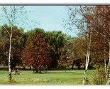 Arboretum Park Canton Ohio Oh Unp Chrome Carte Postale N26 - $3.36