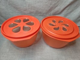 Lot of 2 Rubbermaid Food Containers J3216, 6 Cups, Red, Floral Lids - £11.94 GBP