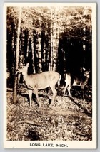 RPPC Beautiful Deer Greetings Long Lake MI Michigan Postcard U25 - £6.25 GBP