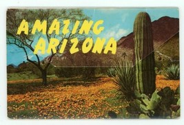 Vintage Postcard Color Fold Out Of Amazing Arizona Petley Studios - £10.07 GBP